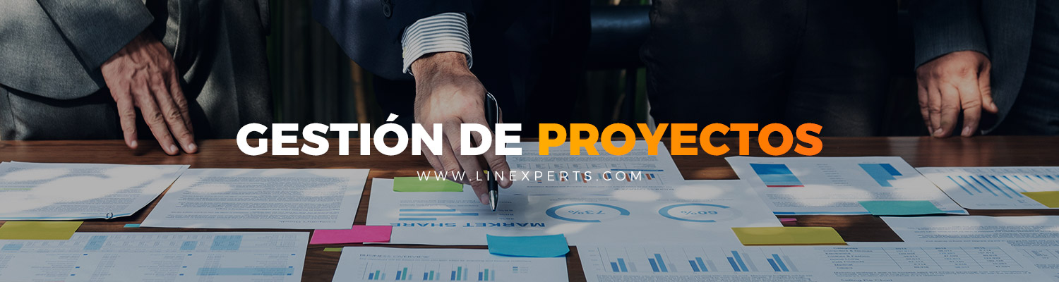 Servicios Gestion Proyectos Linexperts 2