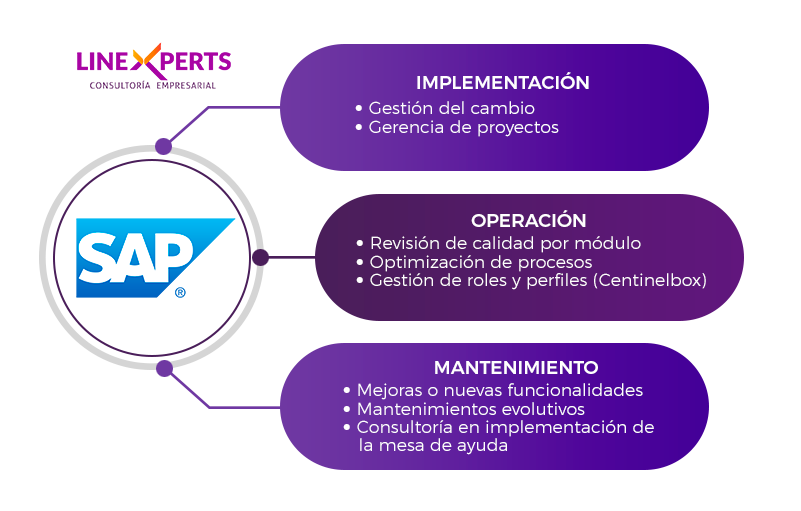 img implementacion operacion mantenimiento Consultoria SAP Linexperts